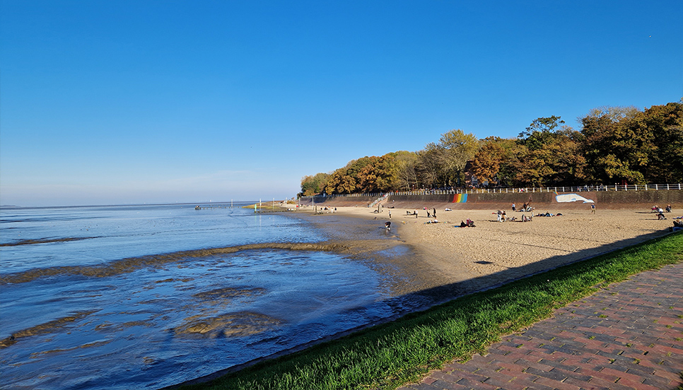 Image Slider 1