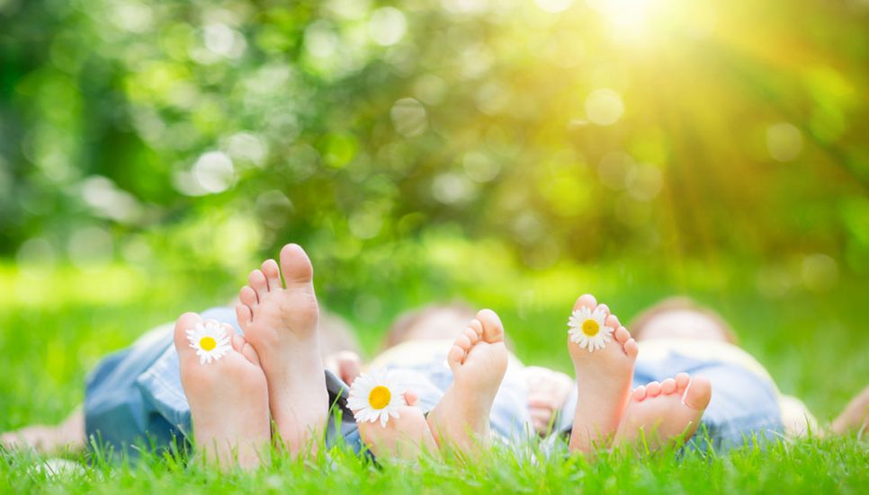 Image Slider 6